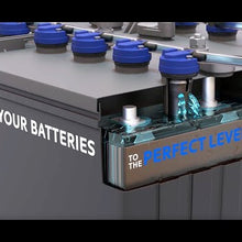 12v - 2 Batteries (TBY)