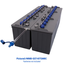 12v - 2 Batteries (TBU)